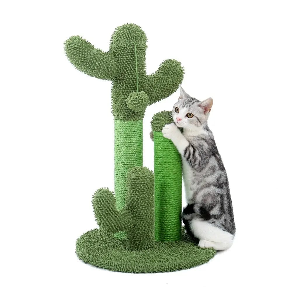 Petit Arbre à Chat Griffoir Cactus | HopMyCat M