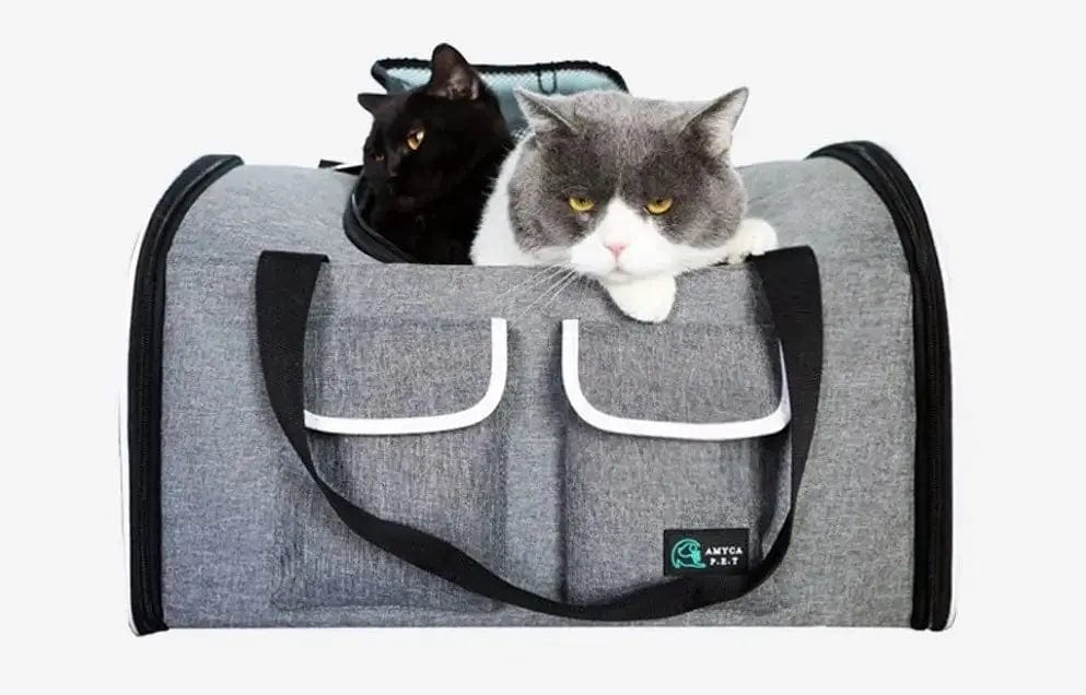 Sac de Transport pour Chat - Grande taille | HopMyCat