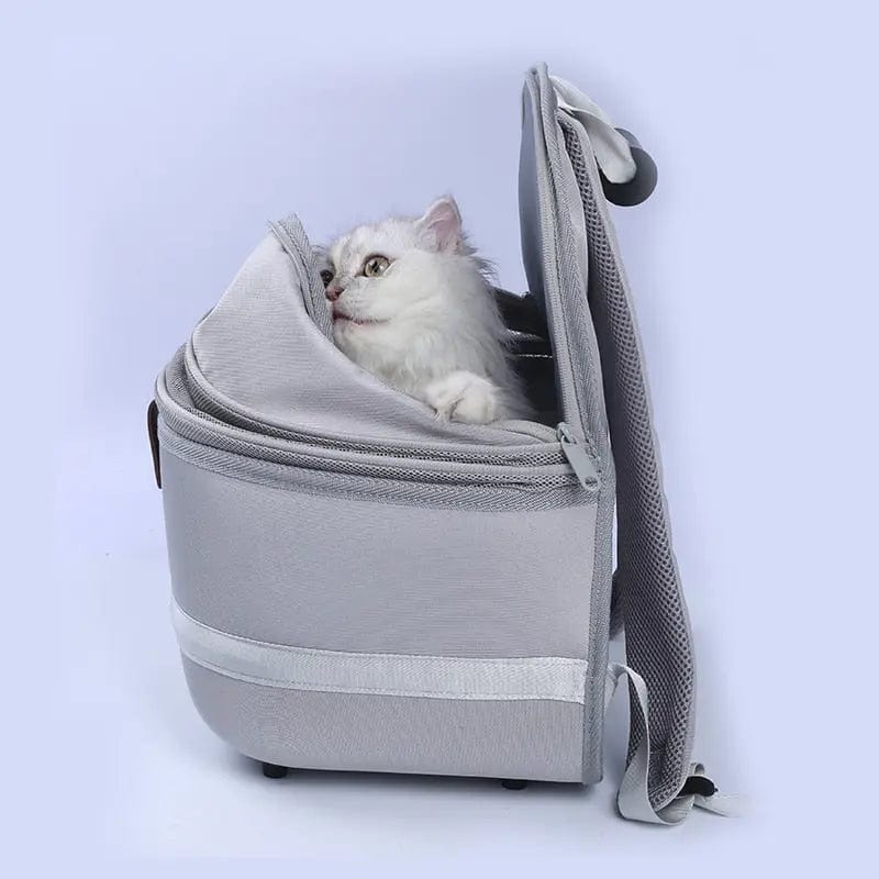 Sac de Transport pour Chat | HopMyCat