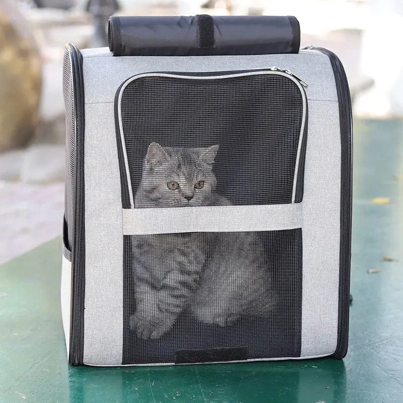 Sac de Transport pour Chat | HopMyCat