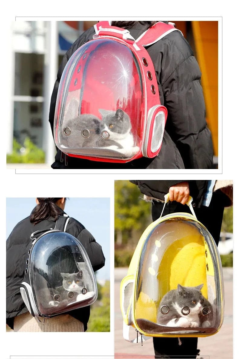 Sac de Transport pour Chat - TravelCats | HopMyCat